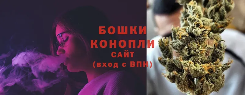 купить   Кирсанов  Каннабис OG Kush 